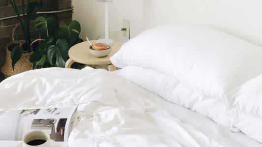 Cozy Earth Silk Pillow