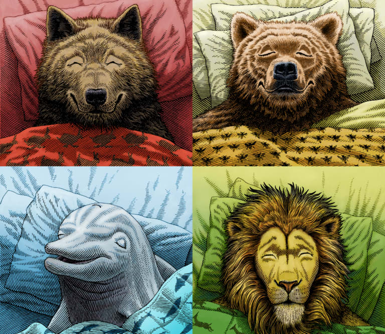 Wolf, Lion, Bear, and Dolphin sleeping.