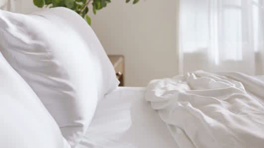 Cozy Earth Bamboo Down Alternative Pillow