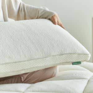 product image of the Avocado Organic Luxury Plush Pillow