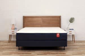 product image of the Big Fig Mattress