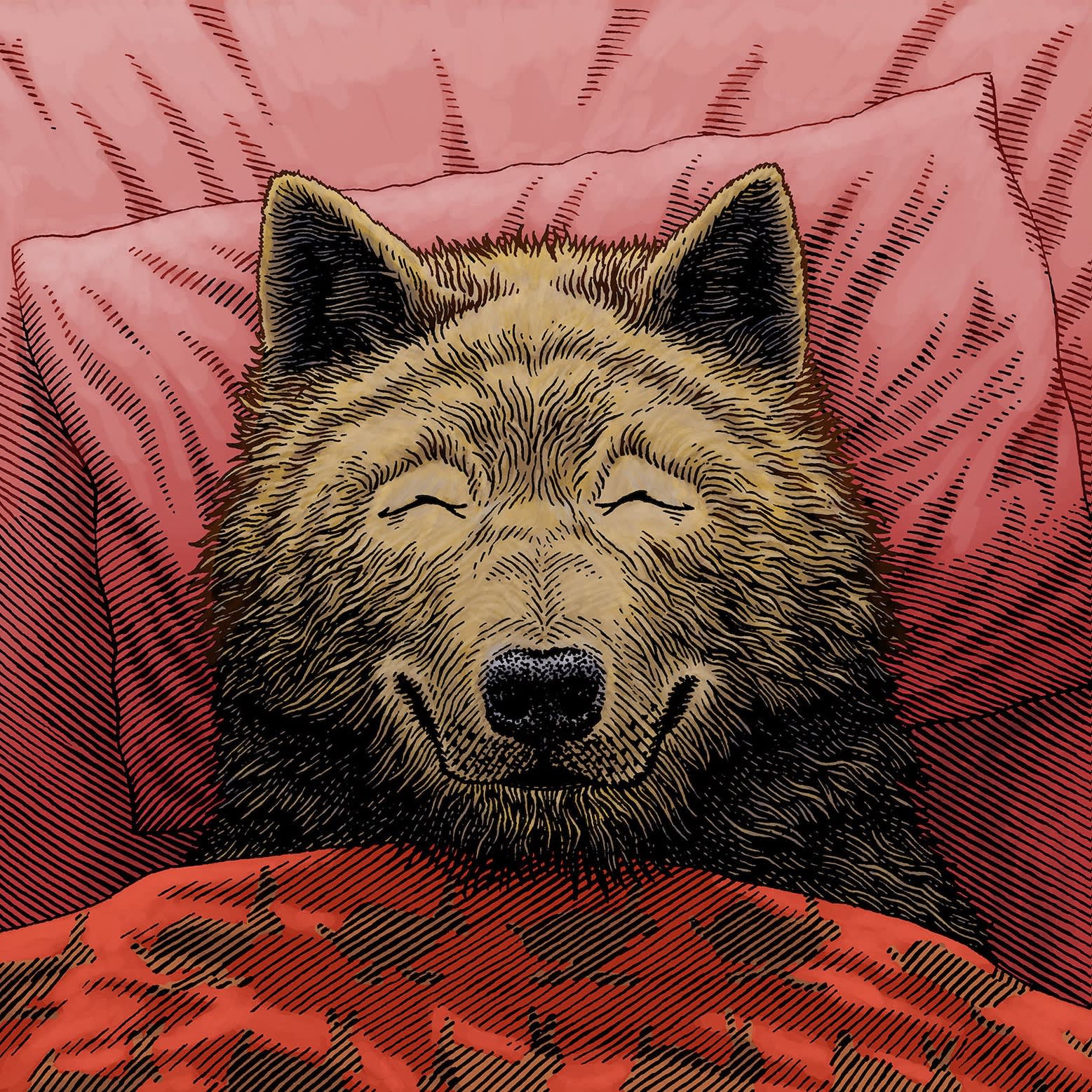 The Wolf Chronotype