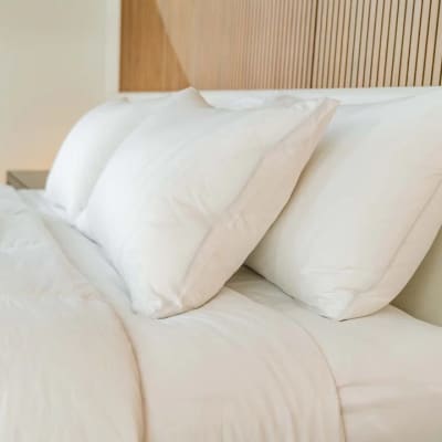 The best sale feather pillows
