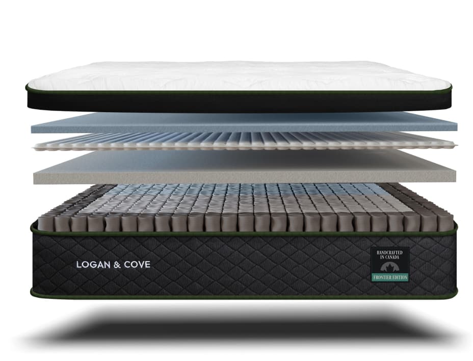 Logan and store cove medium plush