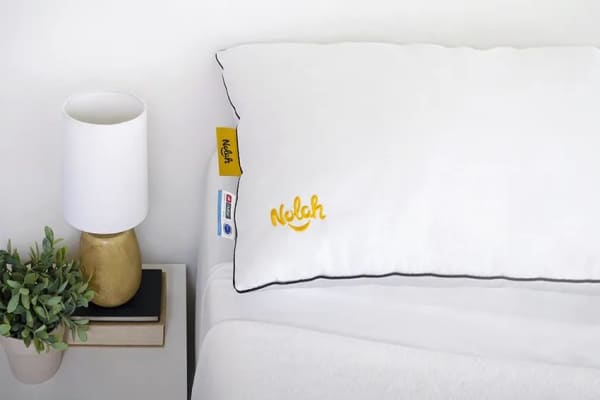 AirFiber_pillow_front_photography_lifestyle_v1opt_850x