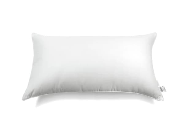 Brand image of Sweet Zzz Plant Based Pillow